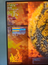 GPU.webp