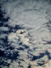 IMG_20251006_160659.webp