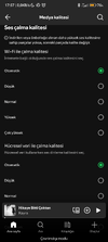 Screenshot_2025-10-27-17-57-53-863_com.spotify.music.webp