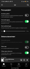 Screenshot_2025-10-27-17-56-34-235_com.spotify.music.webp