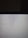 4.webp