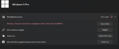 win.webp