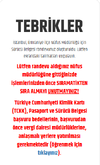 1763975317151.webp