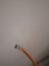 1000235238.webp