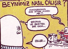 beynimiz_nasil_calisir-umut_sarikaya.webp
