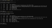 ping-3.webp