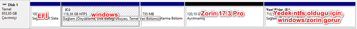 3.webp