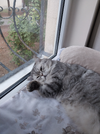 20251011_073842.webp