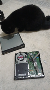 IMG-20260128-WA0023.webp
