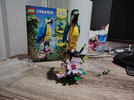 IMG_20260116_055024.webp