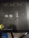 Ram Fan2.webp