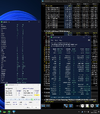 MS1.webp