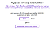 net1.webp