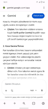 Screenshot_20260225_161123.webp