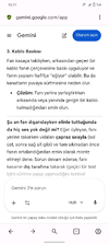 Screenshot_20260225_161126.webp