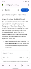 Screenshot_20260225_161148.webp