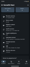 Screenshot_20260228-005455_KernelSU Next.webp