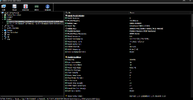 ss2.webp