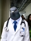 1772907191278.webp