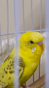 20260316_180935.webp
