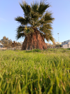 IMG_20251103_171438.webp