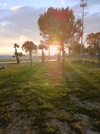 IMG_20251110_173743.webp
