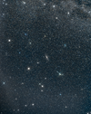 1000292698.webp