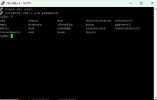 ssh.webp