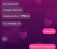 1774374103703.webp