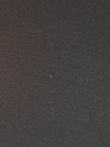 IMG_2243.webp