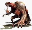images (7).webp
