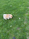 image.webp