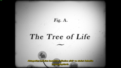 Darwinparadox Screenshot 2026.04.03 - 00.08.19.34.webp