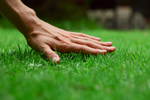 green-lush-grass-standish-milling-company_1200x.webp