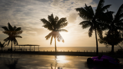 Forza Horizon 5 Screenshot 2025.07.22 - 12.12.09.38.webp