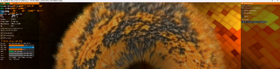 1775805024336.webp