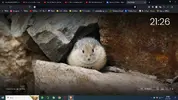 Ekran Görüntüsü (20).webp