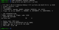 1776017521173.webp