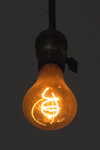 12312333311.webp