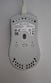 mouse.webp