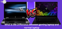 lp9.webp