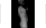teletip_1776360263536.webp