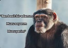 images.webp