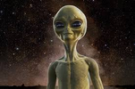 1778520671100.webp