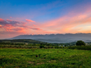 1000164637.webp