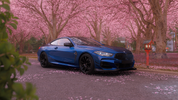 1779034111251.webp