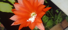 IMG_20260518_220054_1.webp
