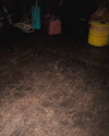 1779515670186.webp