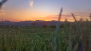 IMG_20260527_201534 (1).webp