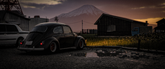 beetle.webp